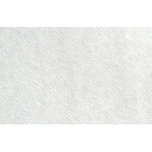 ОБОИ ФЛИЗЕЛИНОВЫЕ 55825 размер  1,06мx25м